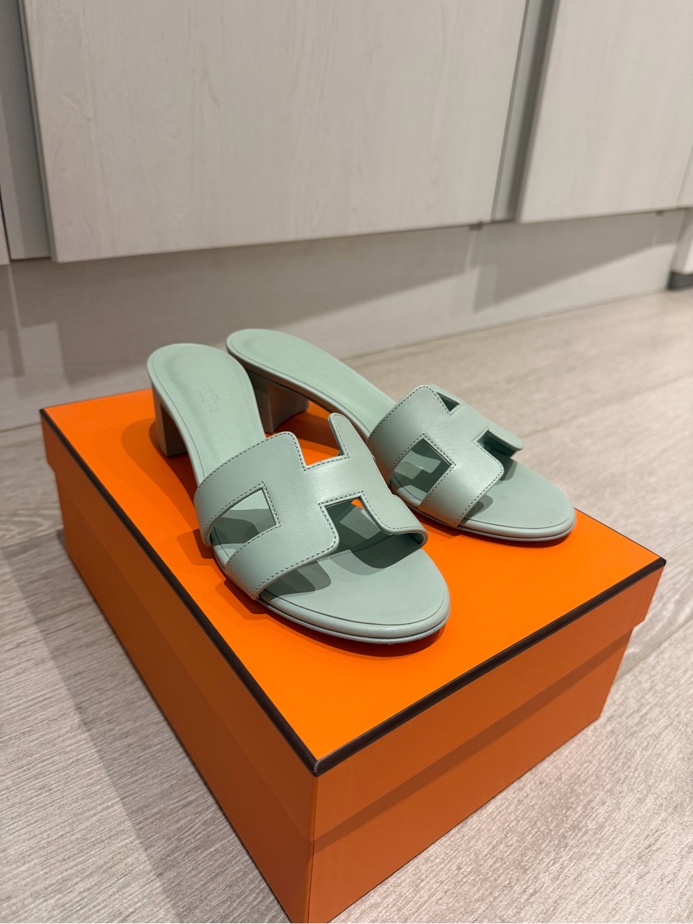 Hermes Mint Green Leather Oasis